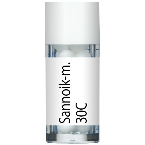 ホメオパシージャパン Sannoik-m. 三の池の祈り　サンノイケイノリ 30C 小ビン