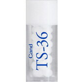 ۥᥪѥѥ ǥ TS-36 (Cand) ӥ