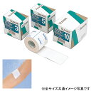 デルマポア ●品番:11951 ●規格:3号 ●サイズ(幅×実長):2.5cm×10m ●入数:2巻 伸縮サージカルテープ 透気防水性 半透明【05P05Dec...