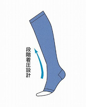 着圧機能サポーター(2枚入) 男女共≪検索用≫...の紹介画像2