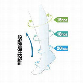 着圧機能ソックス※メーカーからの直送の為宅配便限定でのお届け（代引・同梱不可）【05P05Dec15】