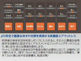 【送料無料】体圧分散式高機能エアマットレスグランデ≪検索用≫【05P05Dec15】