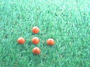 カラー木球10Φ　5ヶ入　オレンジ
