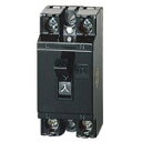 パナソニック 安全ブレーカ20A 2P1E 100V BS1112t Panasonic 1個