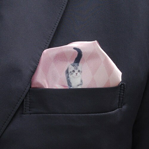 �ݥ��˥������ա�3D-Diamond