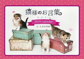 『猫様のお言葉』卓上カレンダーネ・コ・ト・バ(文:志茂田景樹/2018年版)