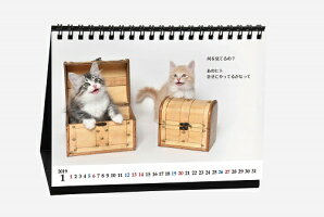 『猫様のお言葉』ネ・コ・ト・バ卓上カレンダー(文:志茂田景樹/2019年版)