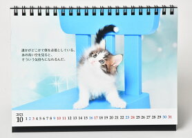 『猫様のお言葉』卓上カレンダーネ・コ・ト・バ(文:志茂田景樹/2021年版)