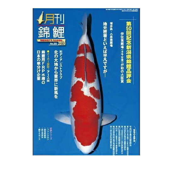 ☆月刊錦鯉 年間購読　同梱不可 送料無料