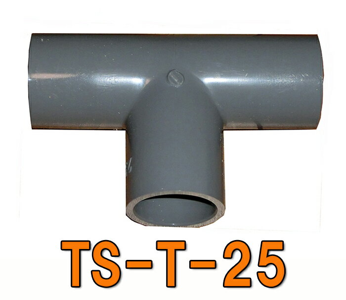 TS-T-25 VP25p`[Y AAꕔn揜 2_ڂ700~