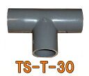 ☆TS-T-30 VP30用チーズ送料無料 但、一部地域除 2点目より700円引