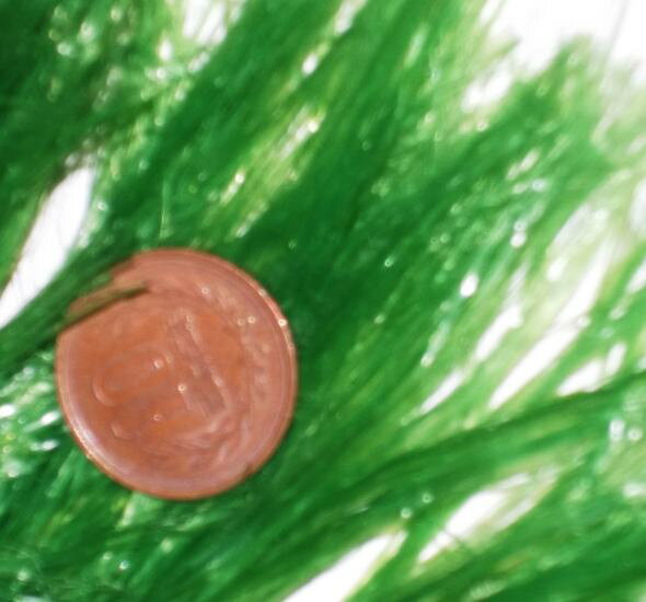 海外最新 人工産卵藻 シザロンモールコード 半沈下性 1 5m 5本 送料無料 即日出荷 Www Templebaptistjacksonville Com