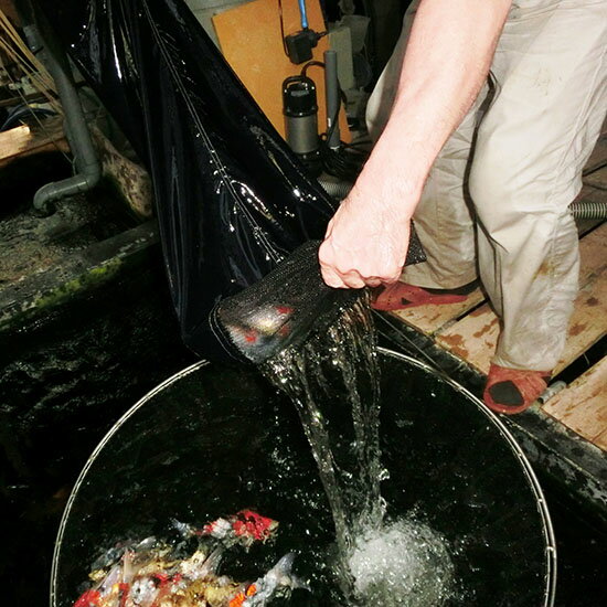 ���ޥ���Хå�(����) GN30 �ͥå��� �������� �� ��30 ��Ĺ25 ��Ĺ120����̵�� 2���ܤ��300�߰�