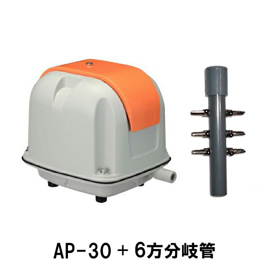 ± ݥ AP-30P6ʬ̵ âϰ