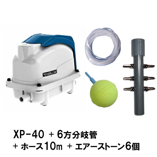 即納最大半額 テクノ高槻 エアーポンプ Xp 40 6方分岐管 エアーチューブ10m エアーストーン Aq 15 6個 送料無料 但 一部地域送料別途 人気ショップが最安値挑戦 Eskulap56 Ru