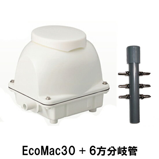 ե꡼󹩶(ޥ륫)ݥEcoMac306ʬ̵ âϰ