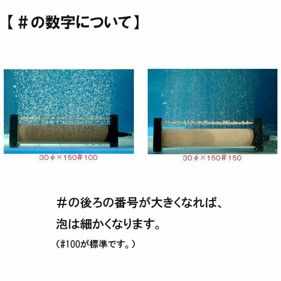 ☆いぶきエアストーン 50(直径)丸 #100 5個 　送料無料 但、一部地域除 2点目より700円引 3