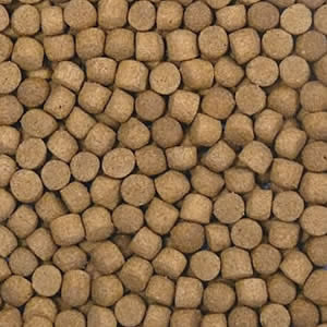 ☆FDフード 超増体飼料 ゲイン M 沈下 20kg送料無料 但、一部地域除