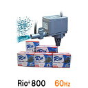 ☆カミハタ リオ Rio+800 60Hz送料無料 但、一部地域除 2点目より300円引