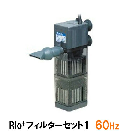 ☆カミハタ リオ Rio+フィルターセット1 60Hz送料無料 但、一部地域除 2点目より700円引