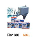 □☆カミハタ リオ Rio+180 60Hz送料無料 但、一部地域除 2点目より200円引