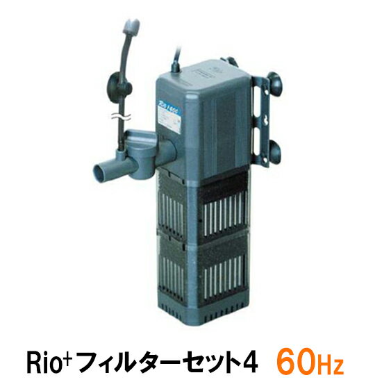 カミハタ リオ Rio+フィルターセット4 60Hz送料無料 但、一部地域除 2点目より700円引