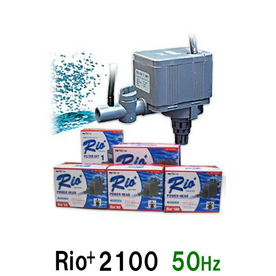 ☆カミハタ リオ Rio 2100 50Hz送料無料 但 一部地域除 2点目より700円引