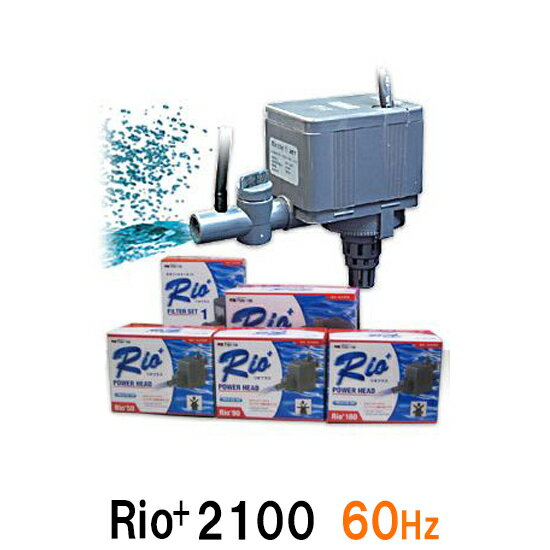 ☆カミハタ リオ Rio 2100 60Hz送料無料 但 一部地域除 2点目より700円引