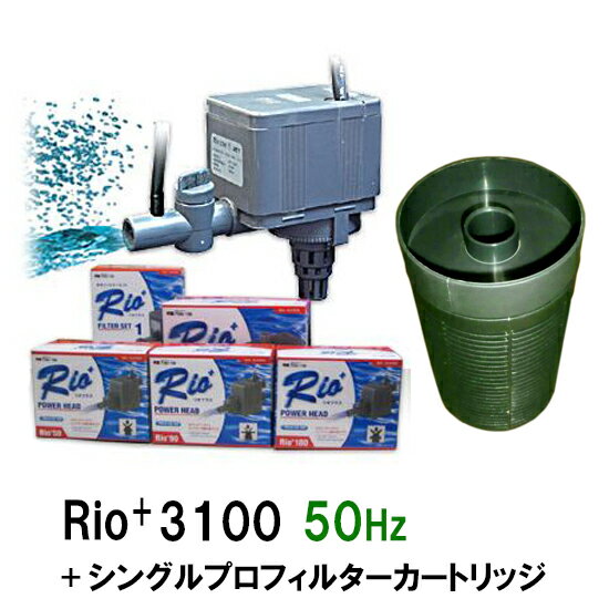 ☆カミハタ リオ Rio 3100 50Hz＋シングルプロフィルターカートリッジ送料無料 2点目より700円引