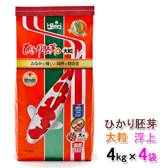 ☆キョーリン ひかりデイリー 大粒 浮 8kg×4袋送料無料 但、一部地域除