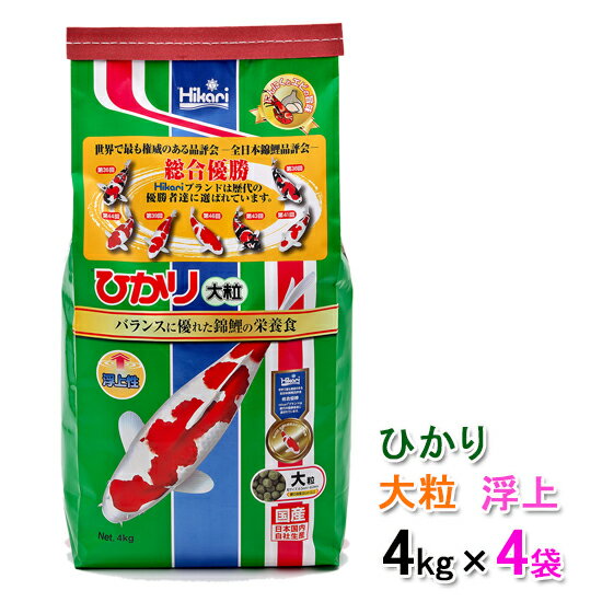 めだかのエサ おとひめ サイズ：B2（日清丸紅飼料） 100グラム メダカの餌 送料無料