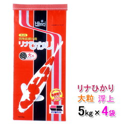 キョーリンリナひかり