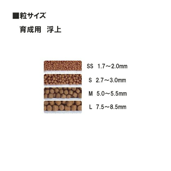 ☆キョーリン 咲ひかり 育成用 L 浮 1kg 計売【送料無料 但、一部地域除　2点目より700円引】【♭】