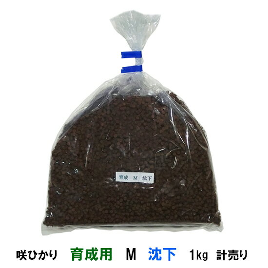 育成S