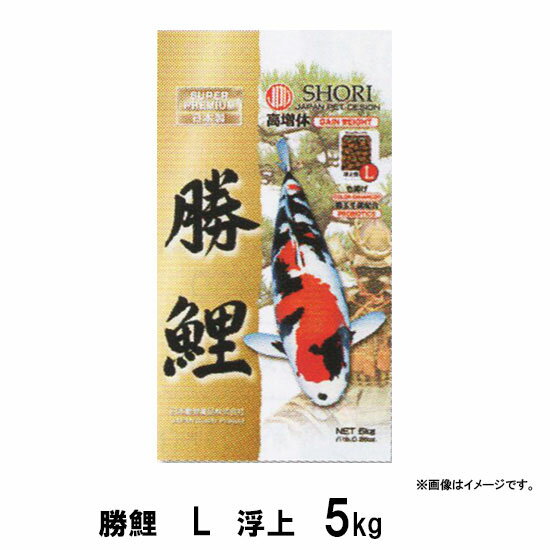 内容がグレードアップいたしました。 ■勝鯉の変更点 ・天然ミネラルを豊富に含んだ貝化石と化石サンゴを配合。主成分の天然カルシウムは 吸着性に優れ、丈夫な骨格形成をサポートします。 ・特殊培養されたトルラ酵母を配合。トルラ酵母に含まれる機能性素材が錦鯉の 肝機能をサポートし、色素の代謝を促進します。 ・錦鯉の嗜好性に優れた良質な魚粉をたっぷり配合。錦鯉の嗜好性を刺激する アミノ酸を強化配合しています。摂取量の向上により、さらに増体効率が高くなります。 ・増体特化型につき、色揚げ効果（アスタキサンチン）は削除しました。 ■特長 ●増体効果 高蛋白・高脂肪で、非常に栄養価が高いフードです。高品質な魚粉とオキアミミールの配合により消化吸収に優れます。 ●プロバイオティクスフード 有益な細菌（トヨセリン菌）を配合した飼料です。健康維持に配慮して善玉菌を配合しています。 ●水が汚れにくい トヨセリン（生菌剤）が排泄された糞を分解しますので水を汚しにくい配合です。 ■原材料 魚粉、オキアミミール、小麦粉、大豆油かす、コーングルテンミール、米ぬか油かす、魚油、 リン酸カルシウム、トルラ酵母、食塩、にんにく粉末、貝化石末、化石サンゴ粉末、トヨセリン、 ベタイン、グリシン、アラニン、ビタミン類（ビタミンA、ビタミンD3、ビタミンE、ビタミンB1、 ビタミンB2、パントテン酸、ビタミンB12、ニコチン酸、ビタミンB6、葉酸、ビオチン、パラアミノ 安息香酸、イノシトール、耐熱性ビタミンC、ビタミンK3、コリン）、ミネラル類（硫酸鉄、硫酸銅、 炭酸マンガン、炭酸亜鉛、炭酸コバルト、ヨウ素酸カルシウム、炭酸マグネシウム） ■粒サイズ 約7mm ■保証成分 粗蛋白質 粗脂肪 粗繊維 粗灰分 水分 カルシウム リン 45％以上 8％以上 5％以下 15％以下 11％以下 1.7％以上 1.2％以上 錦鯉販売　錦鯉通販の大谷錦鯉店 錦鯉の餌　鯉の餌　錦鯉のエサ　鯉販売 少しだけ必要な方は下記よりお買い求めください。 キョーリン咲ひかり　計売（1kg〜） キョーリン錦鯉飼料　計売（1kg〜） 日本動物薬品錦鯉飼料　計売（1kg〜） その他錦鯉飼料　計売（1kg〜）