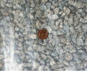 ☆美濃白川産 麦飯石 M(10〜20mm) 1kg送料無料 但、一部地域除 2点目より300円引
