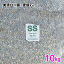 シマテック　PSB　水質浄化栄養細菌　1000mL　光合成細菌　淡水　海水用　バクテリア　熱帯魚　観賞魚【HLS_DU】　関東当日便