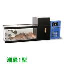 ☆日東機材 活魚畜養水槽 潮騒1型 水槽フルセット送料無料(沖縄・北海道・離島など一部地域除)