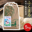 人気ランキング第22位「ポンせんとお米専門店こいせライス」口コミ数「14件」評価「4.71」白米 5kg 福丸 令和5年産 「 筑波山麓厳選 ふくまる 」 送料無料 f03 茨城 米 特a 美味しい お米 お米5キロ 米5k 米5キロ 高級 美味しい米 美味しいお米 ブランド米 高級米 絶品 お取り寄せ お取り寄せグルメ 仕送り