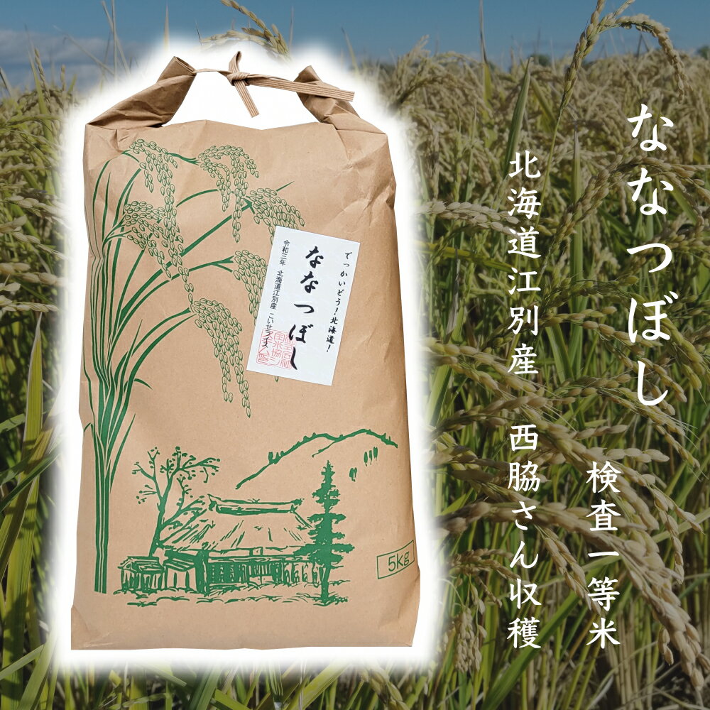 0307 h18 北海道産 ななつぼし 5kg【生産者限定】 令和4年産 北海道米 ...