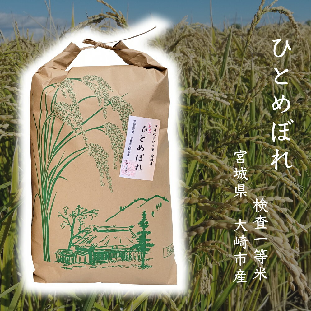 宮城産 ひとめぼれ 白米 10kg 宮城県産 ひとめぼれ 5kg ×2袋 令和5年産 h54 検査一等米 10kg 高級米 お米 ギフト お歳暮 おいしい 贈り物