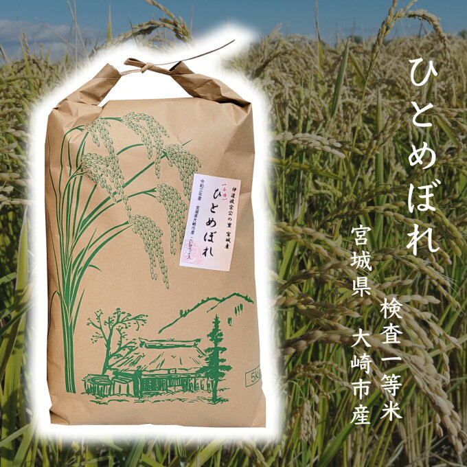 06 h21 【全品 半額　3/4 20:00?】 5kg 宮城県産 ひとめぼれ 令和4年産検査一等米 5kg