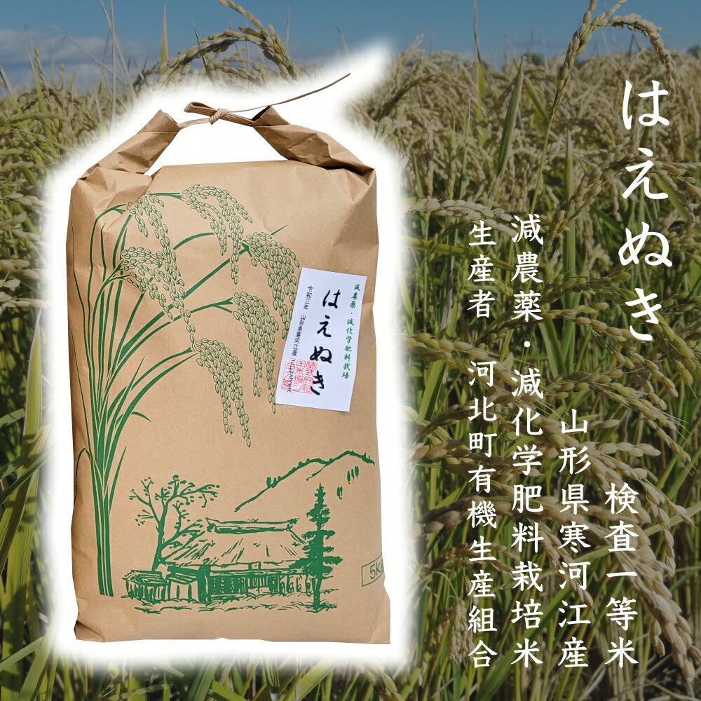 白米 10kg 山形県寒河江産 はえぬき 5kg ×2袋 令和5年産 減農薬減化学肥料米【生産者限定】 h52 米 お米 高級 美味し…