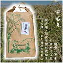 お米 ★ 白米 5kg 山形県寒河江産 雪若丸 5kg 令和6年産 h43 減農薬・減化学肥料栽培米 送料無料
