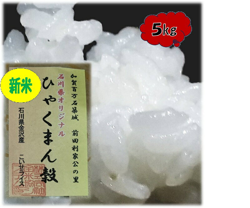 h23 10月にお届け。新米 石川県産 ひゃくまん穀 5kg 令和5年産5kg 石川県オリジナル 高級米のサムネイル