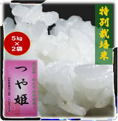 楽天市場】米 5kg つや姫 2袋セットの通販