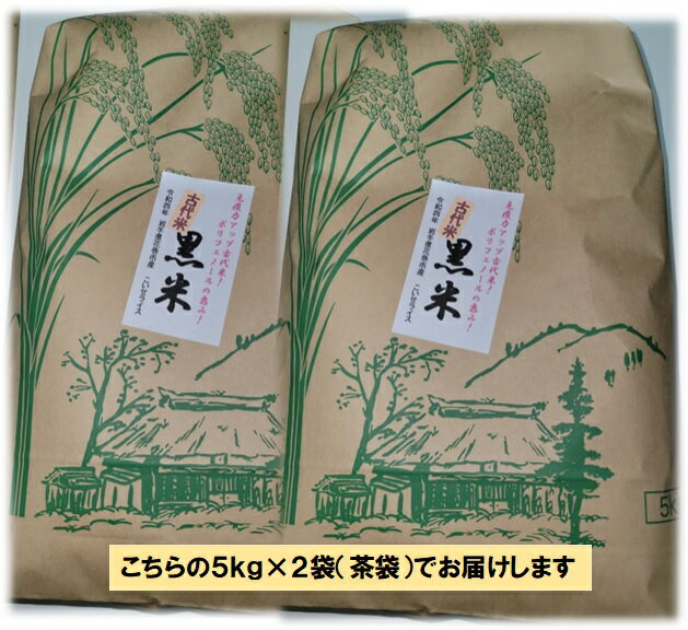 黒米 10kg 5kg ×2袋 令和5年産 送料無料 q03 岩手県花巻産 宮沢賢治の里産 脳内視力 楽しい オードブル メニュー開発 健康 雑炊 ポリフェノール アントシアニン 古代米 五穀米 雑穀米 視力 肩こり 老眼 抗酸化