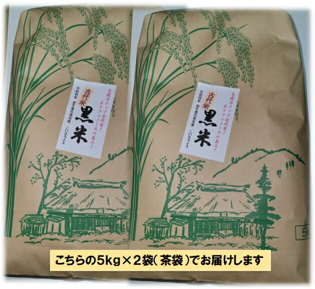 ◎★黒米 10kg 5kg ×2袋 令和5年産 送料無料 q03 岩手県花巻産 宮沢賢治の里産 脳内視力 楽しい オードブル メニュー開発 健康 雑炊 ポリフェノール アントシアニン 古代米 五穀米 雑穀米 視力 肩こり 老眼 抗酸化