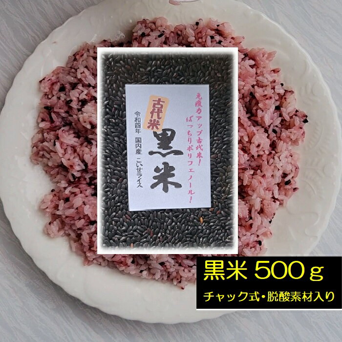 黒米 500g 令和5年産 q01 岩手県花巻産 宮沢賢治の里産 脳内視力 楽しい オードブル メニュー開発 健康 雑炊 ポリフ…