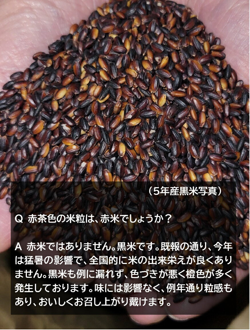 黒米 1kg 令和5年産 「 エージレス入りジーッパー付 」 q05 岩手県花巻産 宮沢賢治の里産 脳内視力 楽しい オードブル メニュー開発 健康 雑炊 ポリフェノール アントシアニン 古代米 五穀米 雑穀米 視力 肩こり 老眼 2